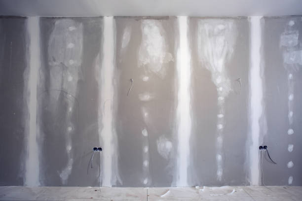 Best Mold-Related Health Consultation  in Methuen Town, MA